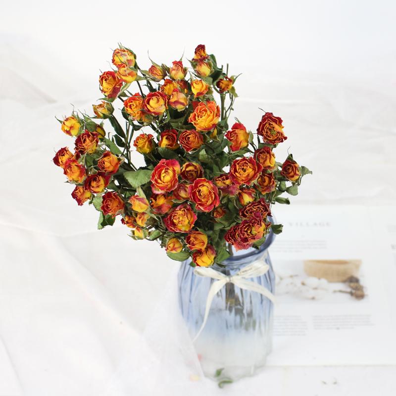 Small Dried Rose Buds for DIY Flower Arrangements and Home Decor