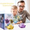 Easy To Grow Crystal Growing Science Kit Colored Crystals Crystal Making Kit  Girls