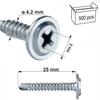 Wspc-42025 Self-Drilling Washer Screws