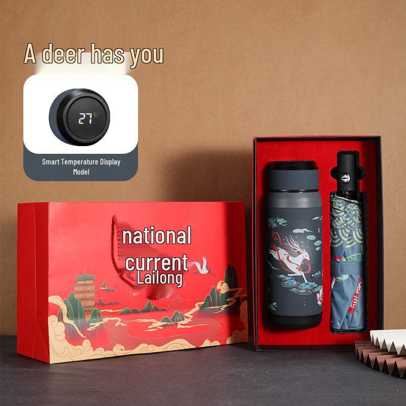 ZISIZ National Style Insulated Mug Gift Set with Automatic Umbrella