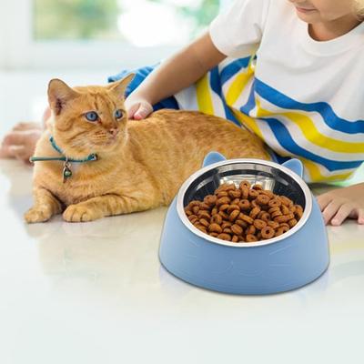 Raised Cat Food Bowl 15-degree Tilted Elevated Pet Feeder Bowl Anti Spill Stainless Steel Pet Food Dish for Dogs And Cats To Protect Pet's Spine