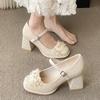 Coarse Heel High Heels Children 2025 New Spring and Autumn Single Shoes Women's Design Sense Niche Temperament Socialite Mary Jane