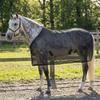 Breathable Horse Fly Sheet Wear-Resistant Equine Mesh Vest Horse Belly Protect Cover  Horse Riding
