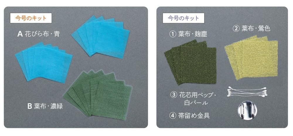 Fun Tsumami Zaiku 65 No. [Encyclopedia] (with Kit)