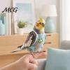 Parrot Travel Harness Diaper Clothes with Leash, Flight Diaper, Reusable Nappy Clothes, Outdoor Training for Parakeet Budgies Conure Lightweight