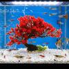 Plastic Simulation Aquatic Plant Natural Look Lifelike Tree Aquarium Landscape Decor Artificial Welcome Pine Realistic Pine Tree