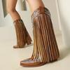 Cowboy Boots Embroidery Autumn and Winter New Knight Boots Large Size Fringed Thick Heel Rivet Western High Boots