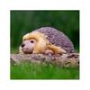 Hedgehog stuffed toy Animal stuffed toy Hedgehog stuffed toy Hedgehog Hedgehog Overseas stuffed toy Tobar Animigos Tobar Animigos
