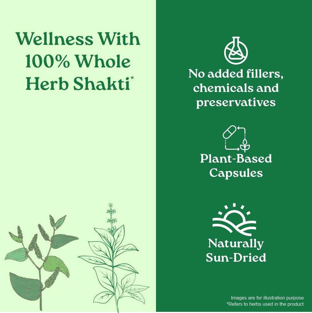 Organic India Breathe Free 60 Veg Capsules for Respiratory Comfort, Congestion Relief and Lung Support, Natural Herbal Formula