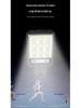 Solar-Powered Outdoor Motion Sensor Courtyard Light: Integrated Wall and Street Lamp
