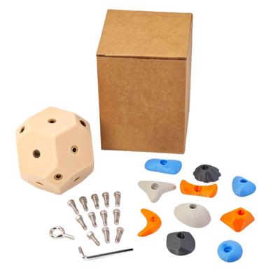 Customizable Rock Climbing Training Tool with Adjustable Resin Holds for All Skill Levels