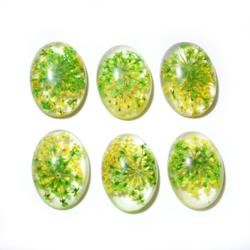 New Fashion 10pcs Fit 18x25mm Blue White And White Yellow And Green Yellow and Red Natural Dried Flowers Cabochons Cameo