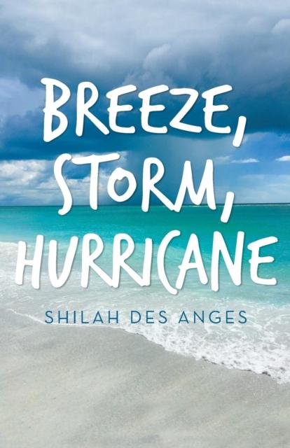 Stormy breezy. Stormy breezy. Lady storm дезодорант-спрей. Lady storm део-ролл жен. Stormy breezy.