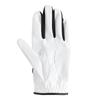FJ Junior Golf Left Hand Junior Size S [FootJoy] Glove, (for Right-Handed Players), (15-16cm), White, FGJR25WT-S