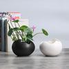 European Retro Hydroponic Flower Pot Ceramic, Creative Home Gardening Succulent Flower Pot Small
