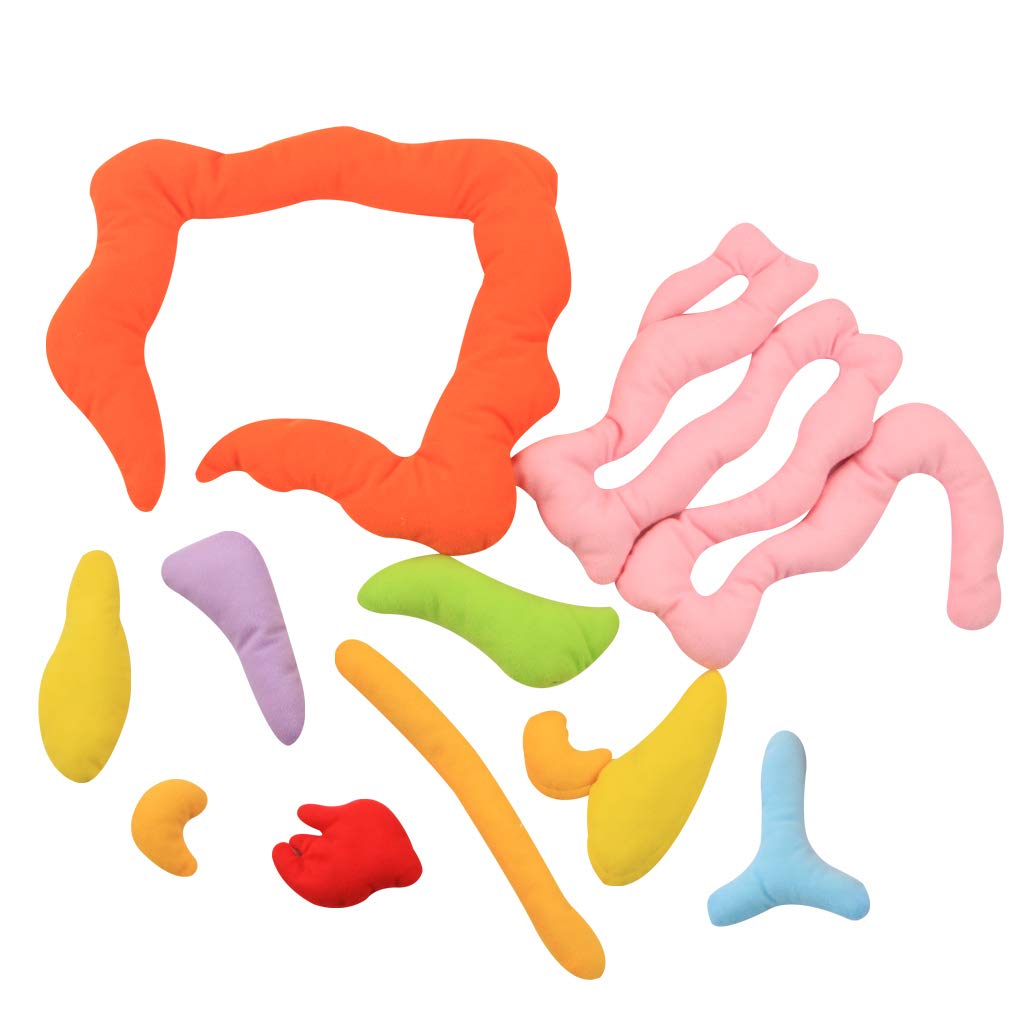 3D Organ Apron,  Anatomy Apron Human Body Organs Awareness Educational Toy for Home Preschool Teaching Aid