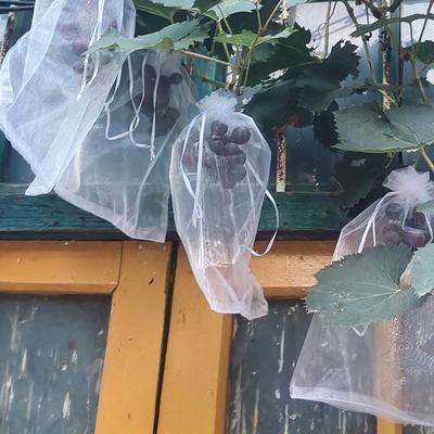 100pcs Mesh Grapes Fruit Grow Bags Breathable Grape Protection Cover For Pest Control Anti-Bird