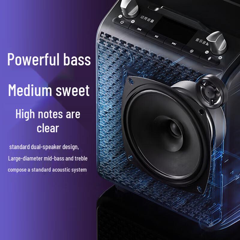 Edifier PP205 Portable Outdoor Bluetooth KTV Speaker