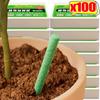Plant Nutrient Stick Home Use Flower Green Potted Plant Growth Cultivation Flower Fruit Slow Release Nutrient Agent Wholesale