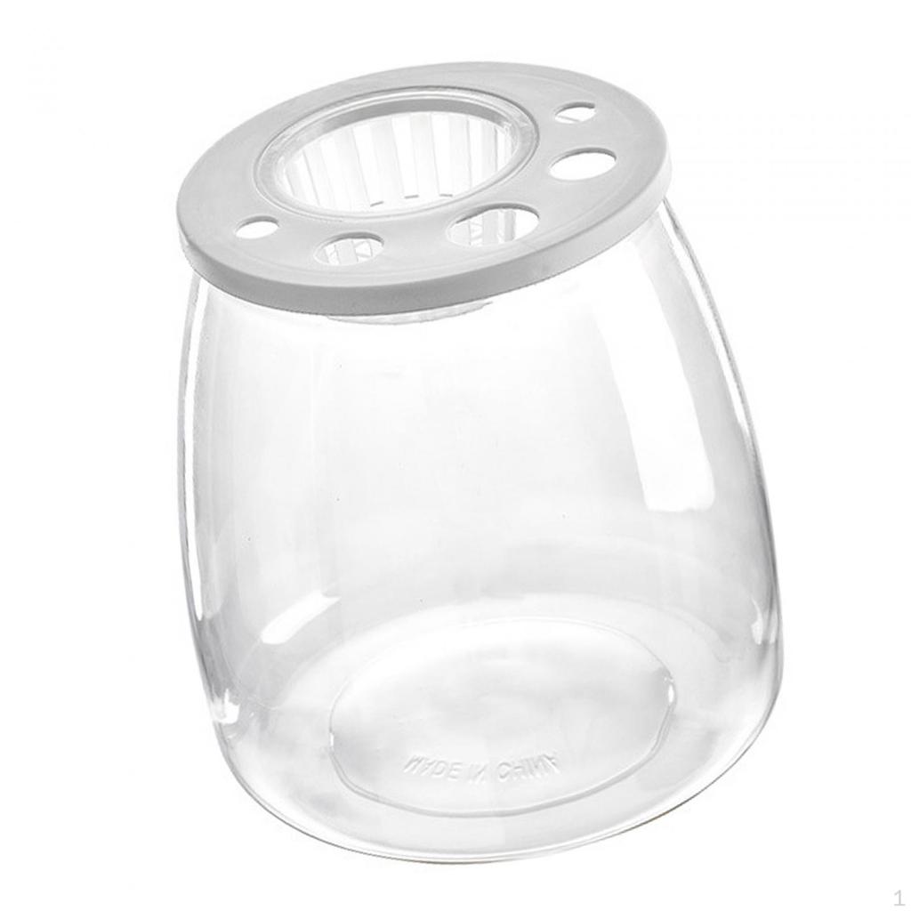 Bowl Tank Creative Transparent Table Ornament Trendy DIY Micro Landscape Aquarium for Office