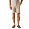 Regatta Mens Sabastal Shorts