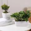 Double Layer Self Watering Flower Pot with Drainage Hole Desktop Vase Hydroponics Plant Pot Thickened Plastic Lazy Plant Pot