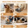 Non-Slip Dog Lick Mat With Slow Feeder Bowl Silicone Pet Feeding Mat Anxiety Relief Healthy Lick Pad For Dogs Puppy Cats Kitten