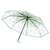 Waterproof Cherry Blossom Transparent Umbrella Funny Manual Umbrella Folding Umbrella  Outdoor