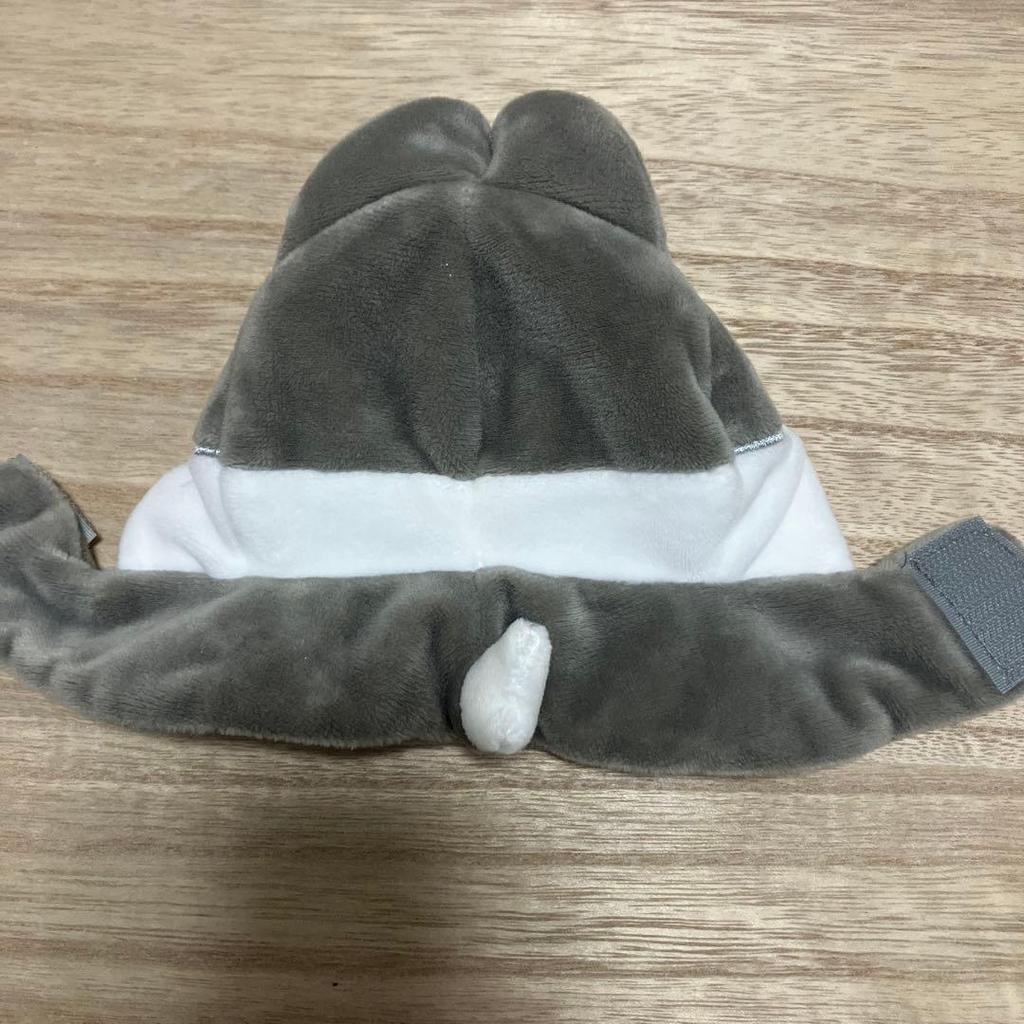 [USED] Stray Kids Bang Chan Wolf Chan Penlight Cover