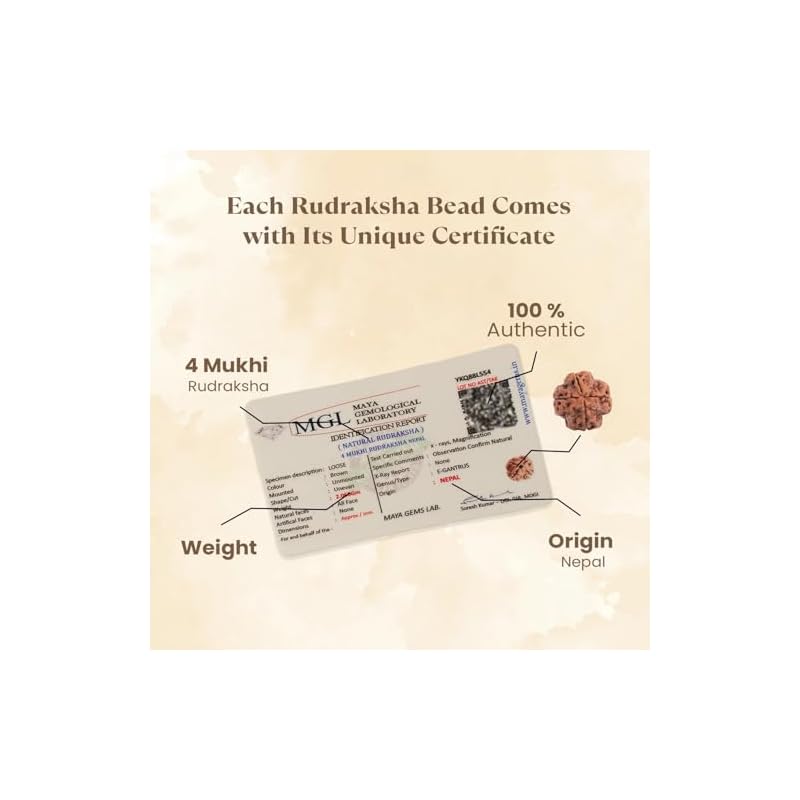 Astrotalk Nepal Origin 4 Mukhi Rudraksha | Boost Creativity & Intellectual Growth | Clarity, Confidence & SelfExpressio