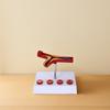 Pvc Cardiovascular Model Science Atherosclerosis Display Hospital Teaching Supplies Anatomical Models Physiology