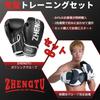 ZHENGTU Punching Mitts by RIZIN Shenryu Makoto and YouTube Pro Heavy Hit Boxing and Kick Practice Gloves for Martial Strength and Home Gym Set of