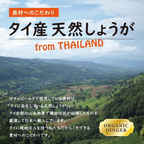 Gacha Gold 100% Black Ginger Supplement, 90 capsules x 250mg = 22.5g, Made in Japan, Vegetable Capsules, Chuo Create Health Food Division
