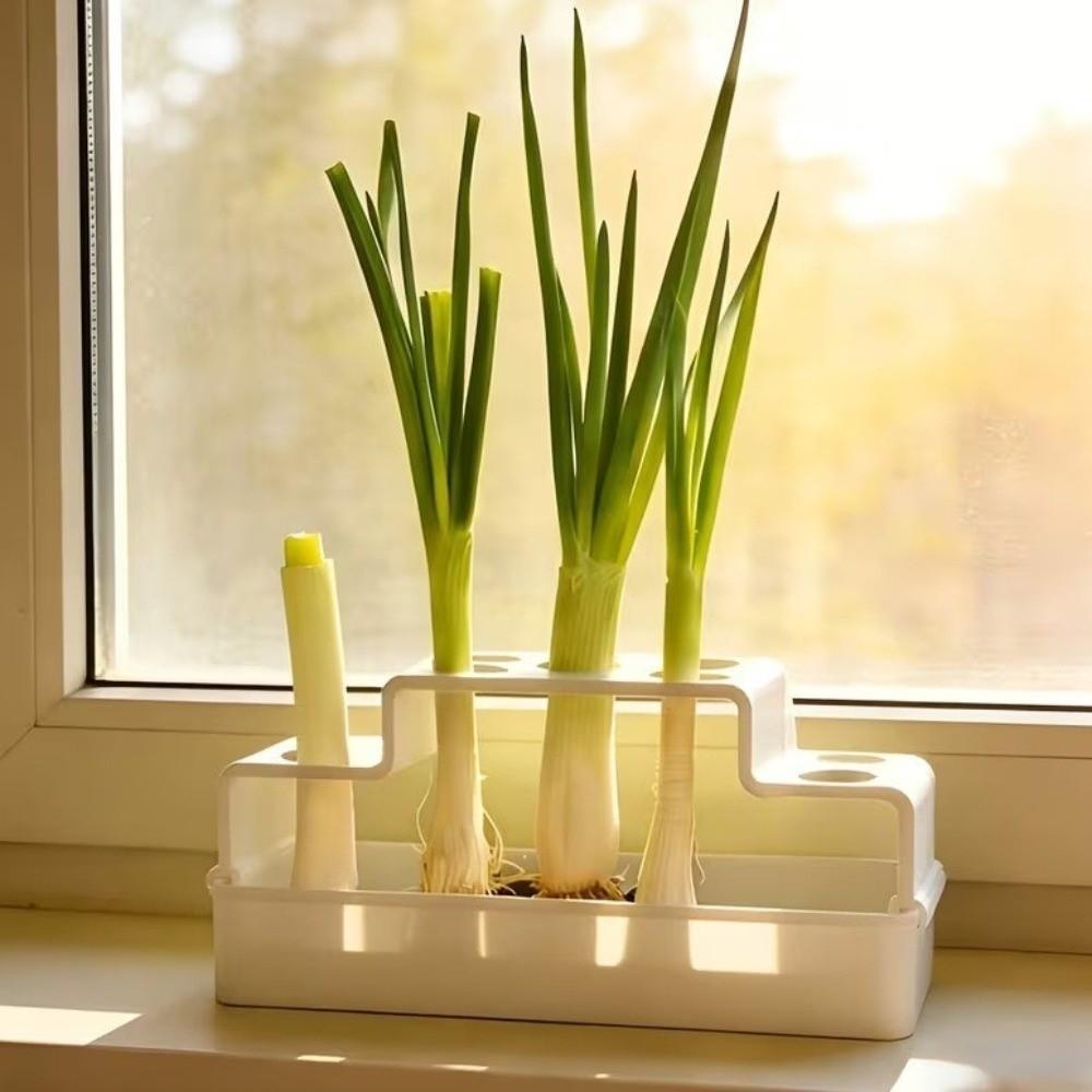 Plastic Hydroponic Vegetable Box Ventilated Repeated Growth Cultivation Pot Hydroponic Planter Soil-Free Water Cultivation Box