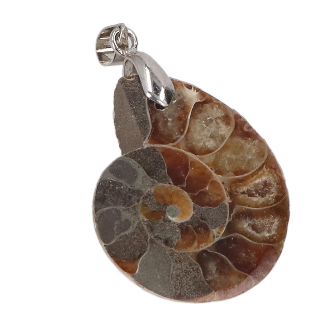 Ammonitenschale Anhänger Handgefertigt Vintage Natur Ammonit Anhänger für Frauen Männer Geschenk
