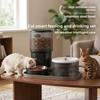 Large Capacity Automatic Pet Feeder Voice Control Pet Intelligent Feeder  Small Dog