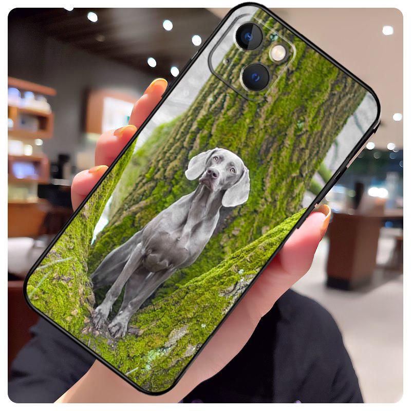 Weimaraner Dog Case For iPhone 16 14 15 Pro Max 12 13 Mini 11 15 Pro Max Plus X XS Max XR Phone Cover