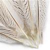 Pheasant Feathers 10 Pieces, White Natural Pheasant Feathers Decorative Chicken Tail Feathers for DIY Crafts, Birthday, Wedding Party Centerpieces,