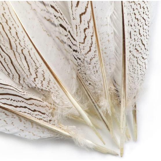 Pheasant Feathers 10 Pieces, White Natural Pheasant Feathers Decorative Chicken Tail Feathers for DIY Crafts, Birthday, Wedding Party Centerpieces,