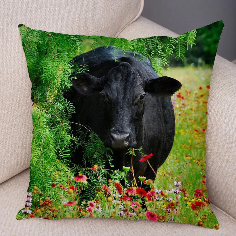 Scotland Kyloe Pillow Case Decor Wild Cow Colorful Animal Print Pillowcase Soft Short Plush Cushion Cover for Home Sofa 45x45cm
