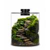 Szklany Terrarium Roślinne na Biurko z Lampą do Uprawy Doniczka na Sukulenty Mech Krajobraz Ogrodnictwa Miniaturowego, Akwarium Roślina Wewnętrzna
