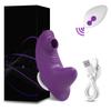 Remote Control Vibrator Sex Toys for Women Wearable Sucking Vibrators Clitoris Vagina Stimulator Clit Sucker Toy for Adult 18+