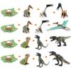 Stunning Tyrannosaurus Rex Growth Cycle Model For Collectors Enthusiasts And