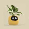 Intelligent Lazy Automatic Water Absorbing Flowerpot Plastic Resin Circular Usb Rechargeable Indoor Plant Small Flowerpot YLE22