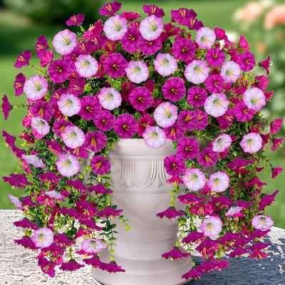 2pcs UV-Resistant Artificial Hanging Petunia & Eucalyptus Flowers , Weatherproof, Indoor/Outdoor Decor for Weddings, Porch, Patio, Garden Decorations