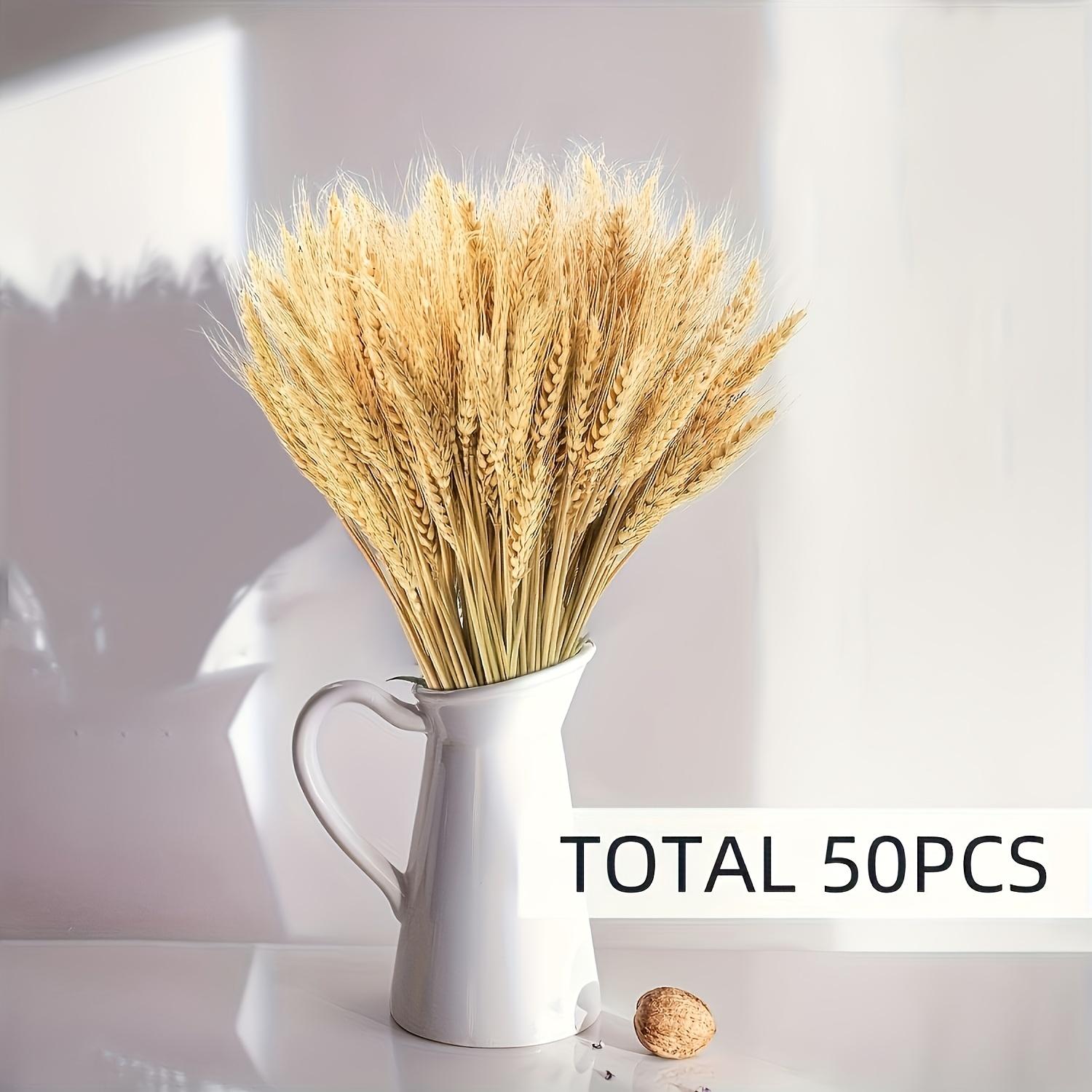 

Набор из 50 натуральных сушеных пшеничных цветов премиум-класса для декора, идеально подходит для создания цветочных композиций своими руками, идеально подходит для декора фермерского дома, центральное украшение для стола 50pcs
