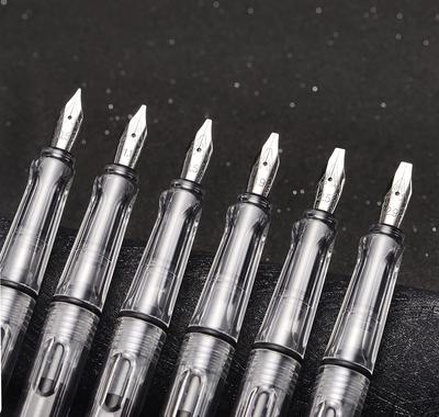 Lanxivi Yongsheng Calligraphy Fountain Pen Transparent 6 Nib Sizes for Art Drawing and Writing Signs Set, Clear,