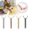 Cylinder Pendant Pet Cremation Urns Necklace Stainless Steel for Cat Dog Ash Memorial Container Holder Jewelry Memorial