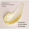 [Mini] Mary&May Idebenone Blackberry Complex Intense Cream, 12g