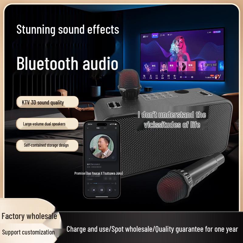 Wireless KTV Speaker with Bluetooth Lyrics Display & Reverb Control